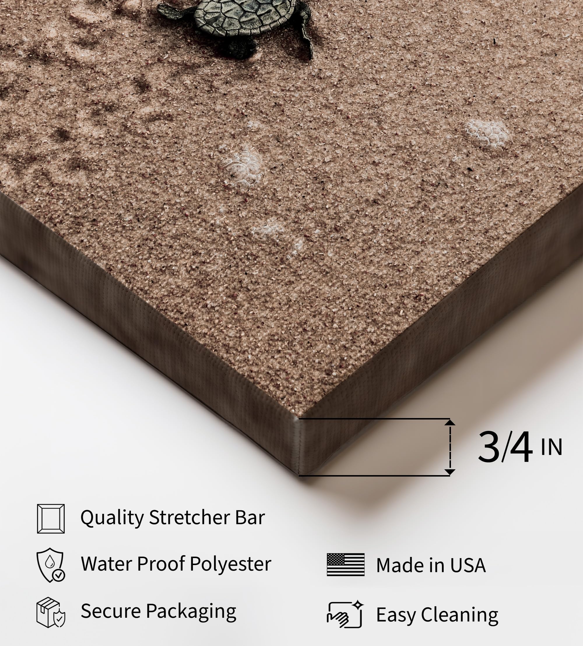 Monem Art Crawling Baby Sea Turtle Canvas - Hatchling Print - Ocean Animal Art - Seashore Photography - Sand Art - Ocean or Beach House Coastal Wall Decor - Available in 8x10" to 30x40" - Image 3