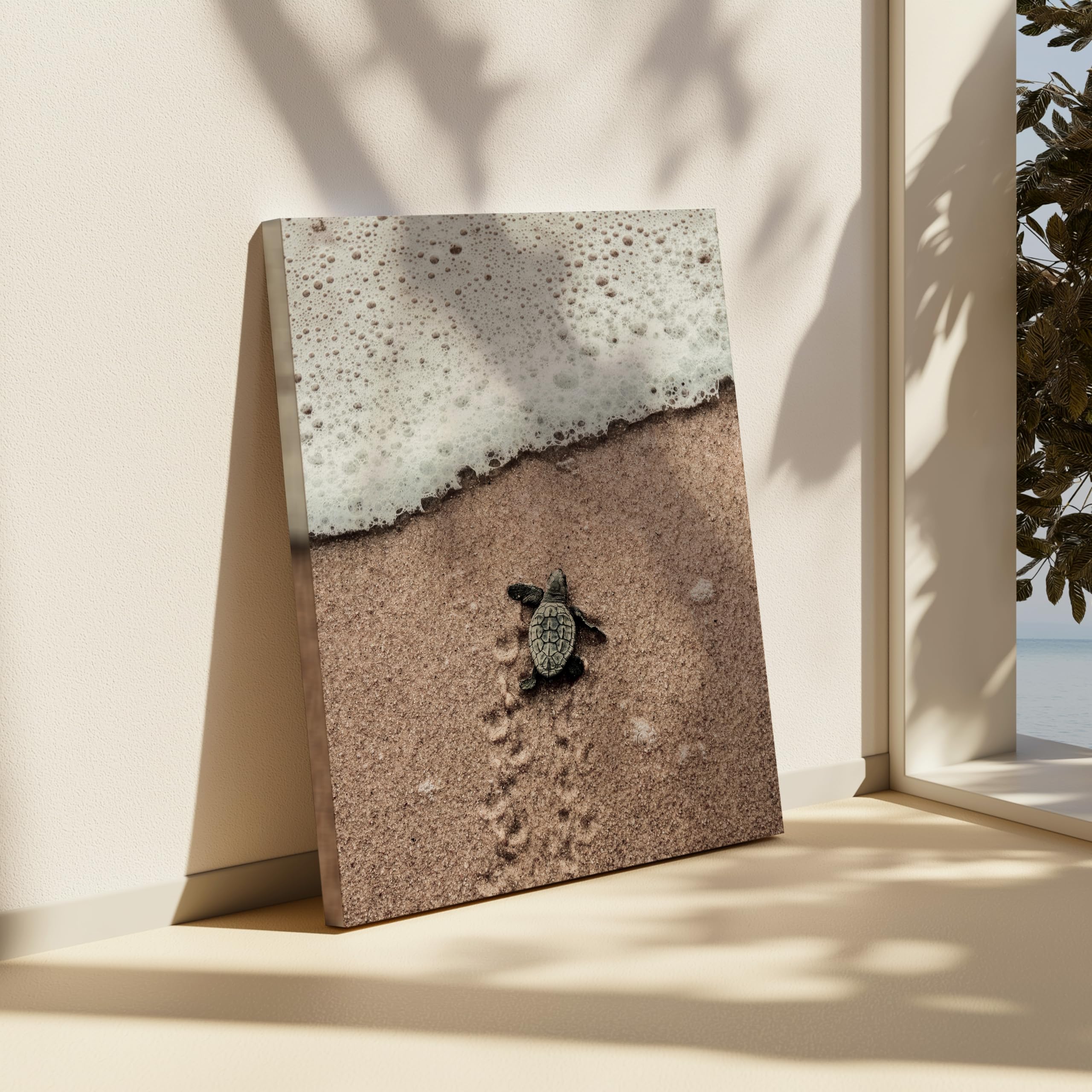 Monem Art Crawling Baby Sea Turtle Canvas - Hatchling Print - Ocean Animal Art - Seashore Photography - Sand Art - Ocean or Beach House Coastal Wall Decor - Available in 8x10" to 30x40" - Image 6