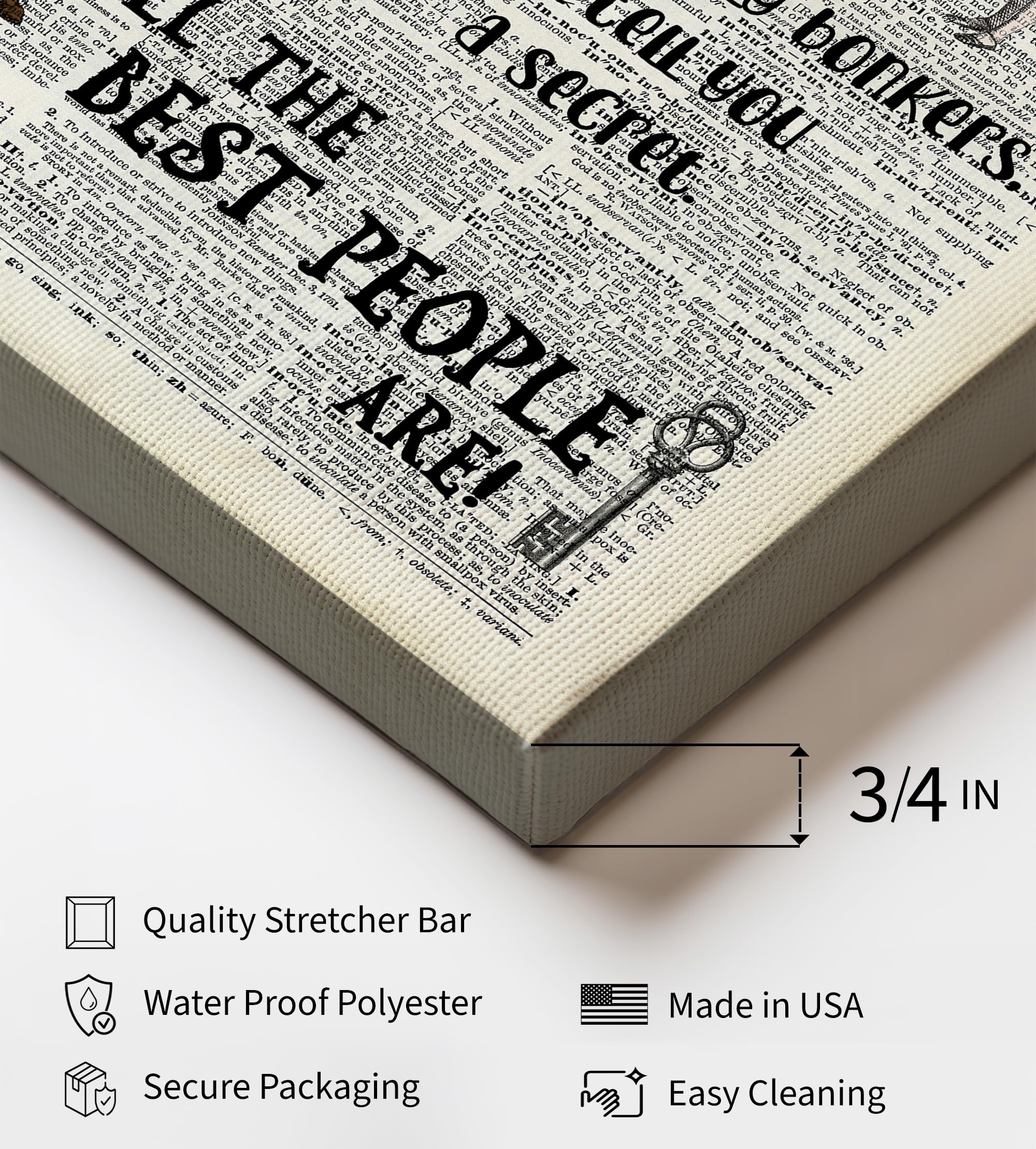 Monem Art Dictionary Art Canvas - Alice Wonderland Print - Have I Gone Mad Art - Gift for Boy, Girl - Mad Hatter Rustic Decor for Nursery, Bedroom, Kid's Room - Available in 8x10 to 30x40 - Image 3