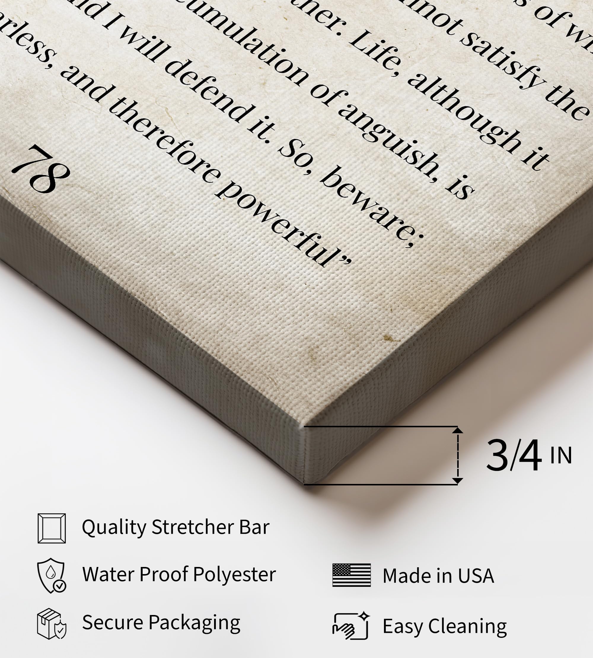 Monem Art Studio Frankenstein Canvas - Mary Shelley Print - Book Quote Art - Inspiring Gift for Him, Her - Motivational Art - Typography Decor for Home, Office - Available in 8x10" to 30x40" - Image 3